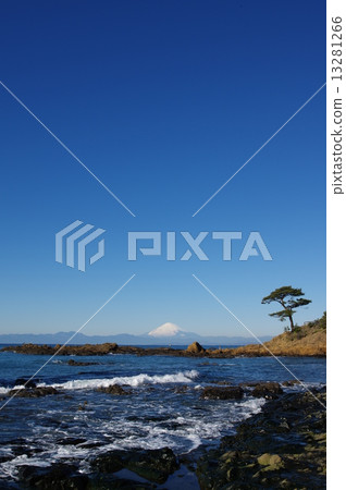 從秋穀/立石海岸（橫須賀市）眺望富士山 13281266