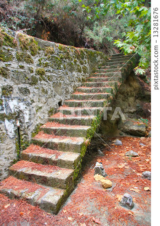 Greece. Rhodes. City park Rodini. The ladder covered with foliage.. Greece. Rhodes. City park Rodini. The ladder covered with foliage.. 13281676