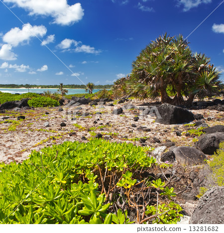 Mauritius. Stony landscape. Island Gabriel. Mauritius. Stony landscape. Island Gabriel. 13281682