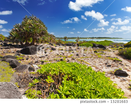 Mauritius. Stony landscape of the island Gabriel Mauritius. Stony landscape of the island Gabriel 13281683