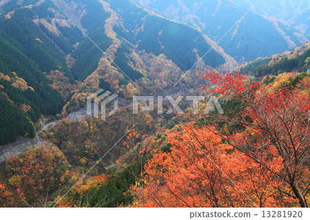 返回者森林公路的秋葉 13281920