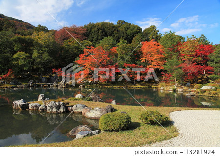 京都嵐山天龍寺的秋天 13281924
