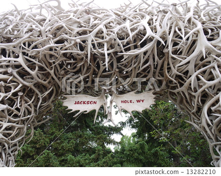 Antler Arch Antler Arch 13282210
