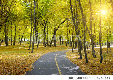 Rays of sun in autumn park Rays of sun in autumn park 13282535
