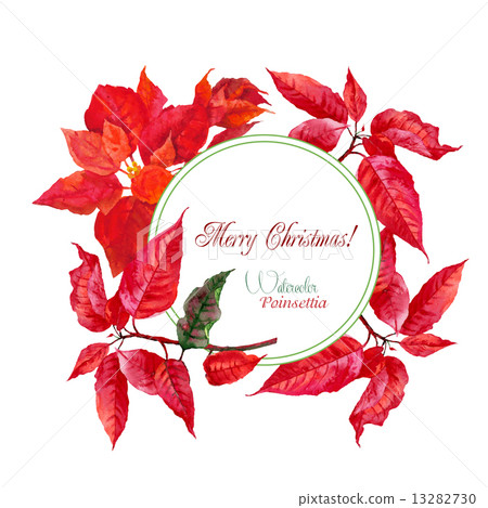 Background  with bouquet of poinsettia 13282730