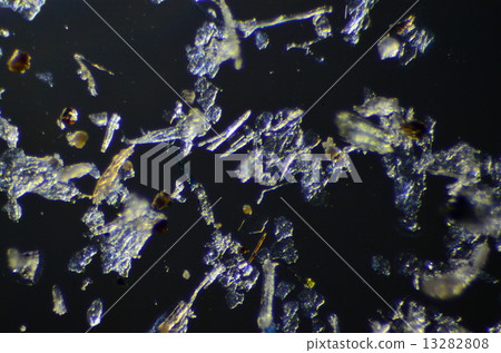 House dust seen with a microscope 13282808