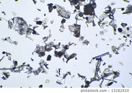 House Dust Seen With A Microscope Stock Photo