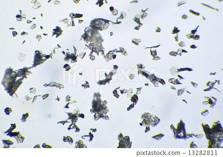 House dust seen with a microscope 13282811