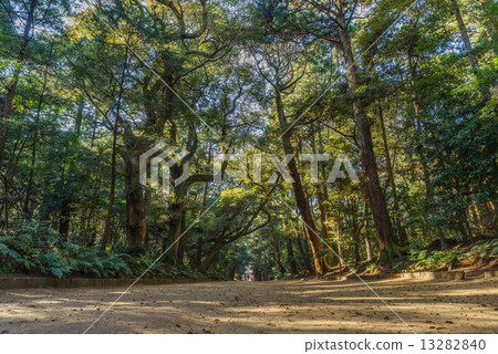 Kashima Shrine's back stronghold 13282840