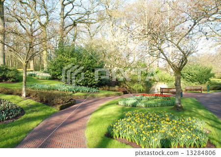 Keukenhof 3 13284806