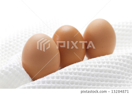Eggs and cloth 6 Eggs and cloth 6 13284871