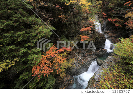 Mitarai Valley Autumn Leaves 13285707