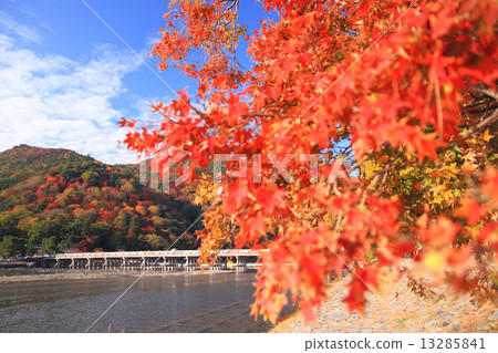 11月京都嵐山跨橋和秋葉 11月京都嵐山跨橋和秋葉 13285841