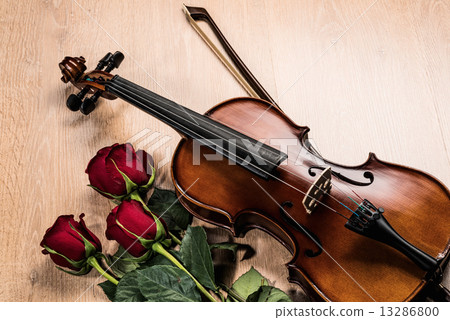 Violin, rose and music books Violin, rose and music books 13286800