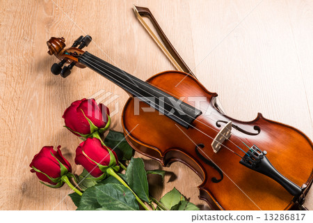 Violin, rose and music books Violin, rose and music books 13286817