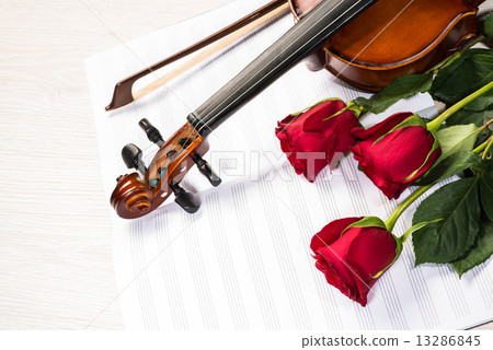 Violin, rose and music books Violin, rose and music books 13286845