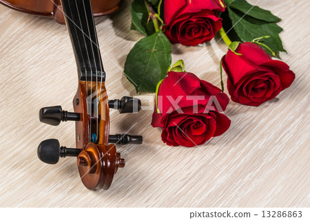 Violin, rose and music books Violin, rose and music books 13286863