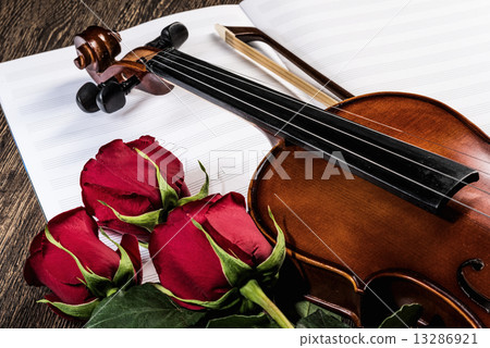 Violin, rose and music books Violin, rose and music books 13286921