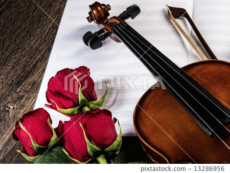 Violin, rose and music books Violin, rose and music books 13286956