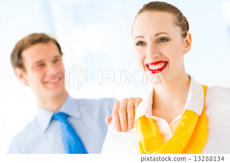 successful business woman 13288134
