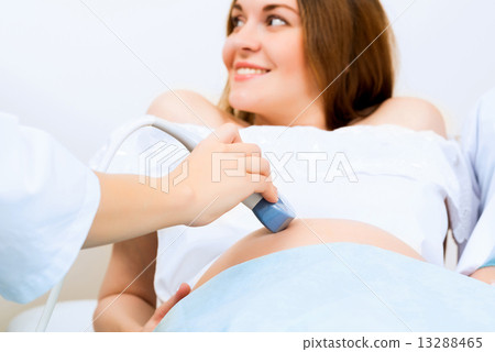 hands and abdominal ultrasound scanner 13288465
