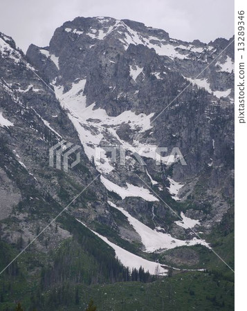 大提頓 大提頓 13289346