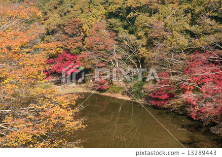 Momige景觀 13289443