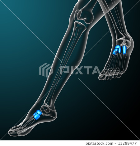3d render medical illustration of the tarsals bone 13289477