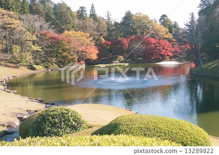 Momige景觀 13289822