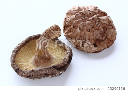 Dried shiitake mushroom Dried shiitake mushroom 13290136