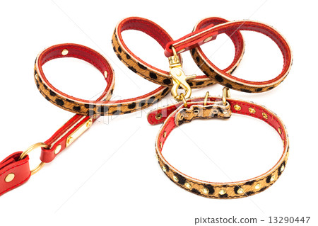 beautiful leash and collar beautiful leash and collar 13290447