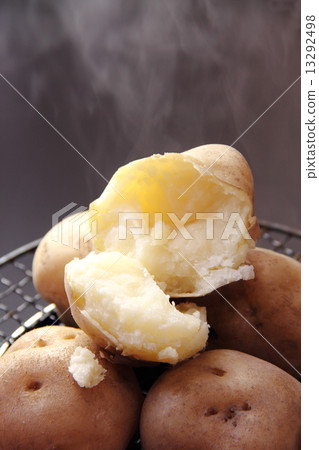 Potatoes 13292498