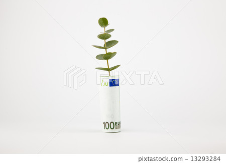 bank note and plant bank note and plant 13293284
