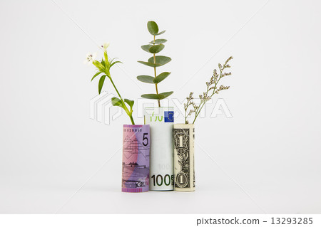 bank notes and plants bank notes and plants 13293285