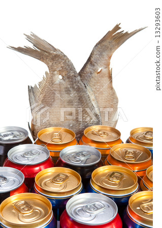 Dried fish and beer 13293603