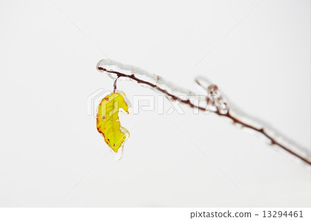 Icy rain Icy rain 13294461