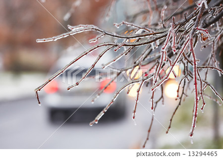 Icy rain Icy rain 13294465