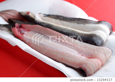 eel eel 13294517