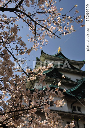 Spring of Nagoya castle 13294699