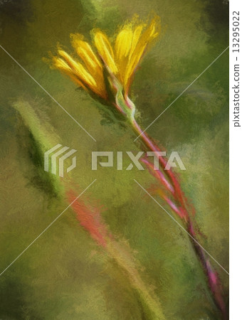 paint yellow meadow flower paint yellow meadow flower 13295022