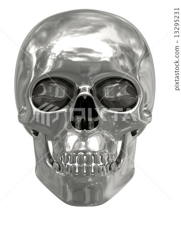 Silver or platinum skull isolated on white 13295231
