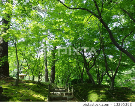 Shukkeien 13295398