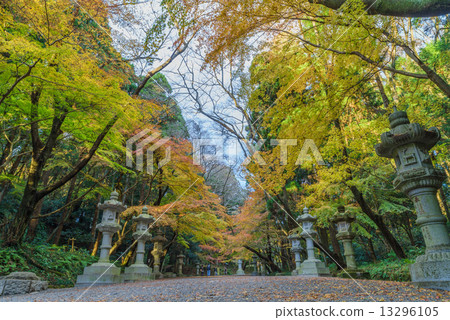 The entrance of Katori Shrine in the fall autumn leaves are beautiful The entrance of Katori Shrine in the fall autumn leaves are beautiful 13296105