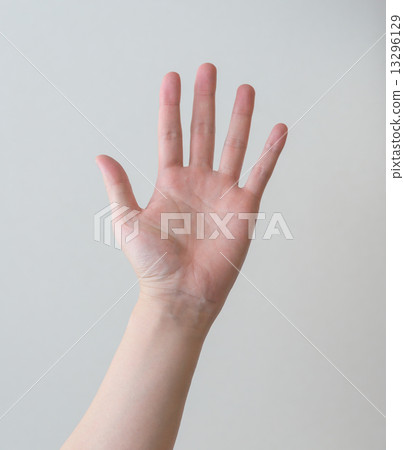 Raising hands Raising hands 13296129