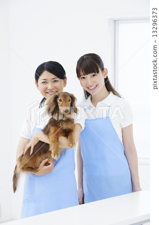 トリマー 13296373