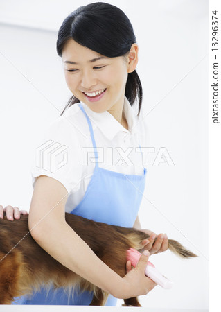 トリマー 13296374