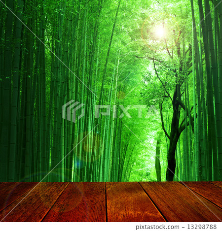 Bamboo forest background 13298788