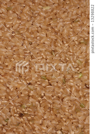 糙米 糙米 13298822