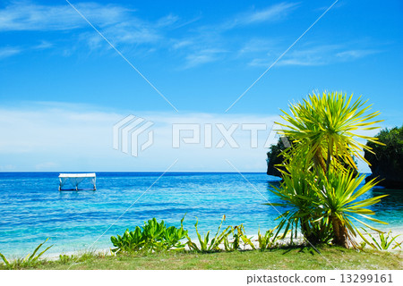 Bohol Island Beach 13299161