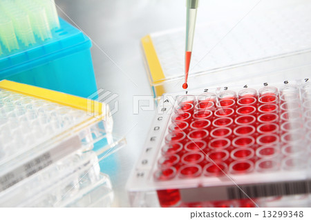 Sample being dropped into well plate in lab Sample being dropped into well plate in lab 13299348